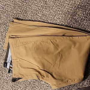 Truth. Substance Common Sense. 34W ×32L